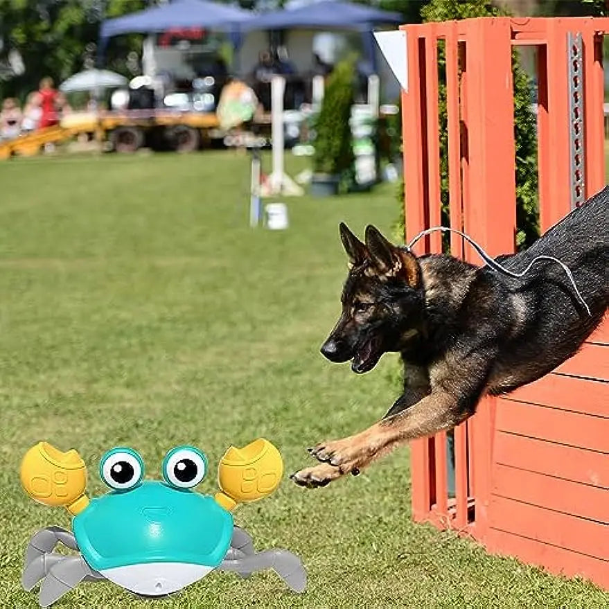 Crawling Crab™ - Interactive Dog Toy - PawsMagics