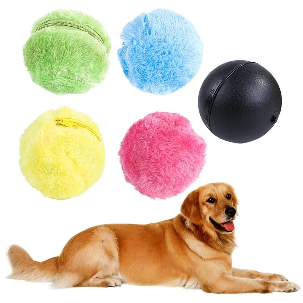 Active Rolling Ball Toy - PawsMagics