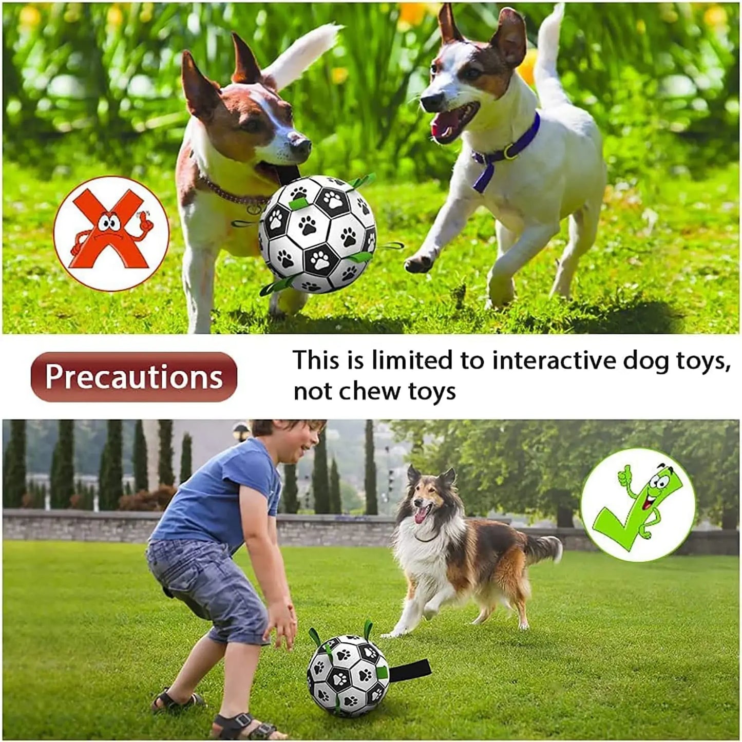 The Dog Ball - PawsMagics