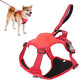 Dog Harness and Retractable Leash Set All-in-One - PawsMagics