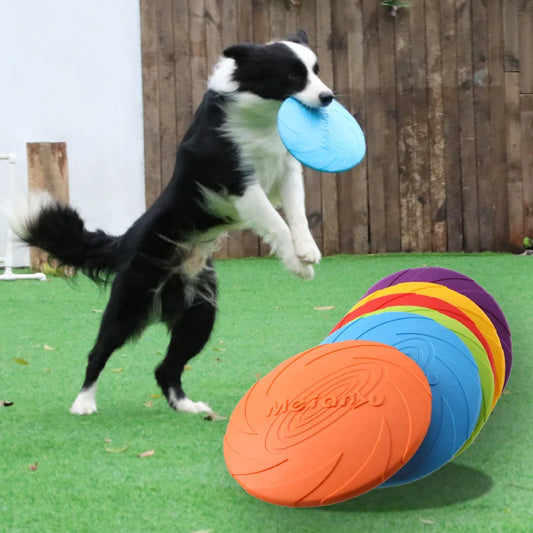 OUZEY Bite Resistant Flying Disc Toys For Dog Multifunction Pet Puppy Training Toys Outdoor Interactive Game Pet Dogs Products IHeartPaw