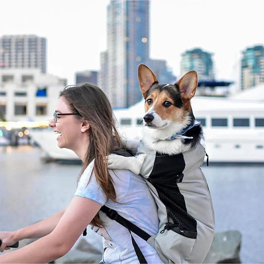 Durable Nylon Dog Carrier Backpack for Small & Medium Dogs - Breathable, High-Quality Pet Backpack for Outdoor Travel & Cycling