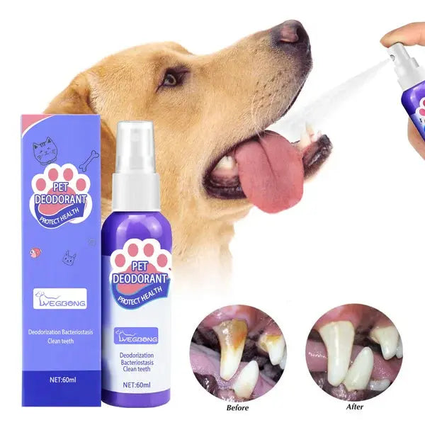 Teeth Cleaning Spray for Pet, Eliminate Bad Breath, Targets Tartar & Plaque - PawsMagics