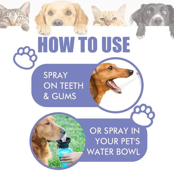 Teeth Cleaning Spray for Pet, Eliminate Bad Breath, Targets Tartar & Plaque - PawsMagics