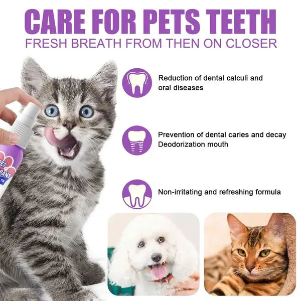 Teeth Cleaning Spray for Pet, Eliminate Bad Breath, Targets Tartar & Plaque - PawsMagics