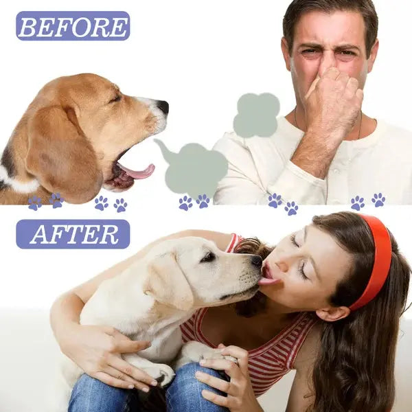 Teeth Cleaning Spray for Pet, Eliminate Bad Breath, Targets Tartar & Plaque - PawsMagics