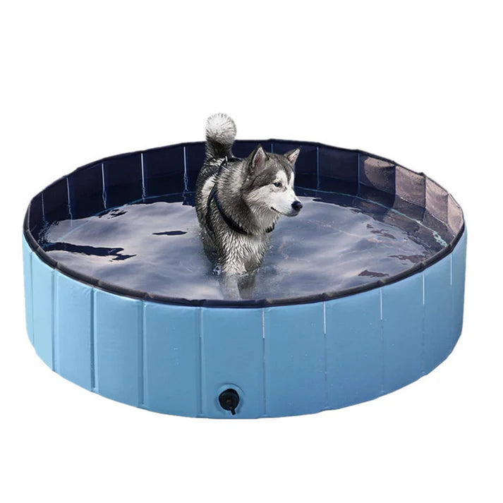 Magic Pool Dog Swimming Solid Inflatable