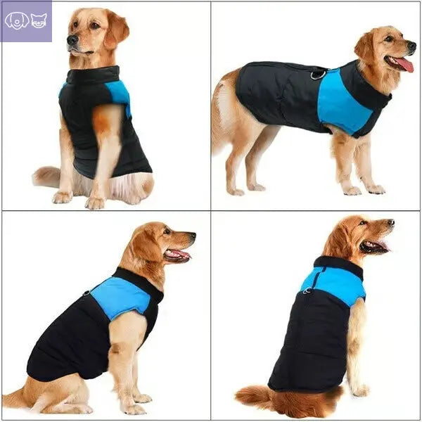 🐕Winter Warm Waterproof Dog Vest with Zipper (Size S-7XL)✨ PawsMagics